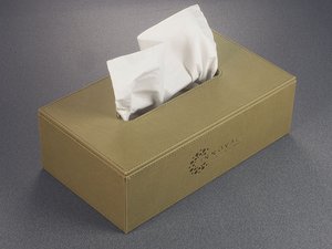 Tissue box 2283324