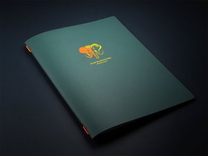 Tampographie 2 couleurs - A4 2368000